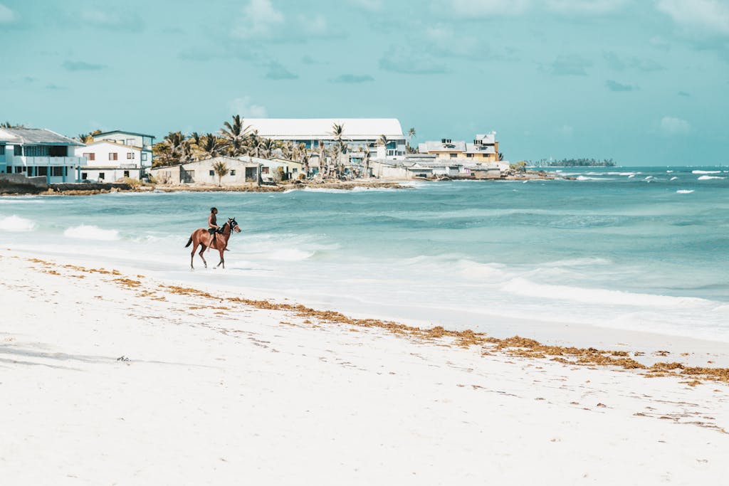 Man Riding On A Horse