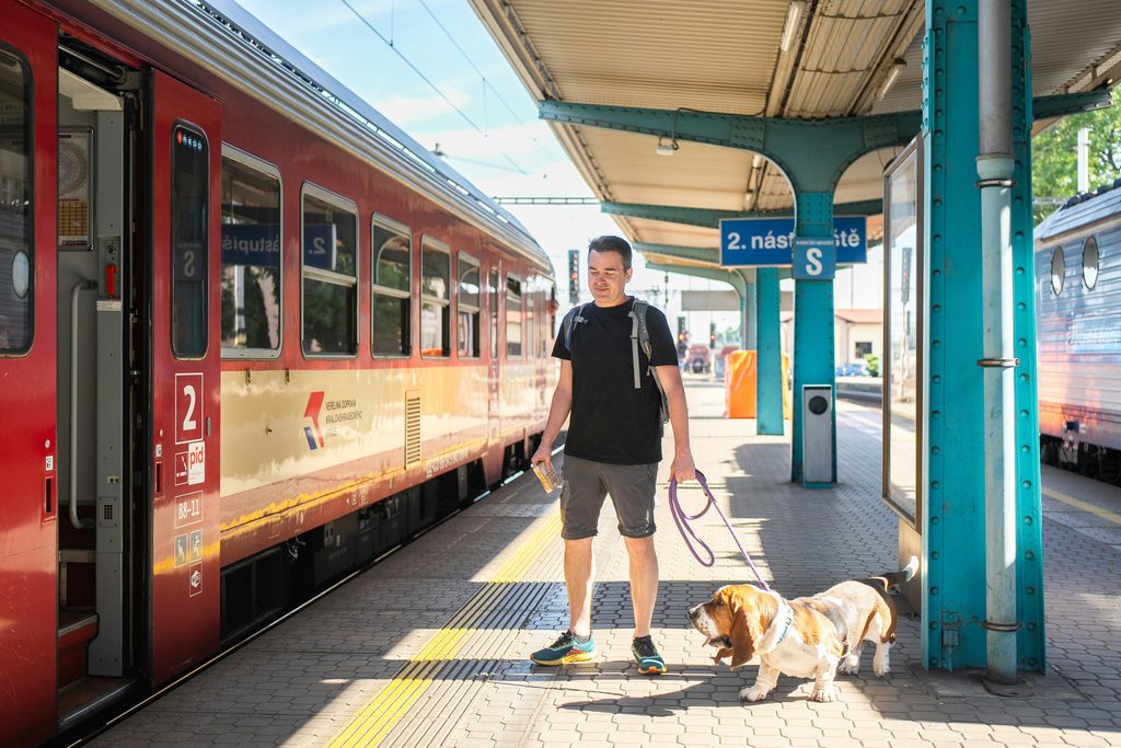 Travel With Pets Tips - Train