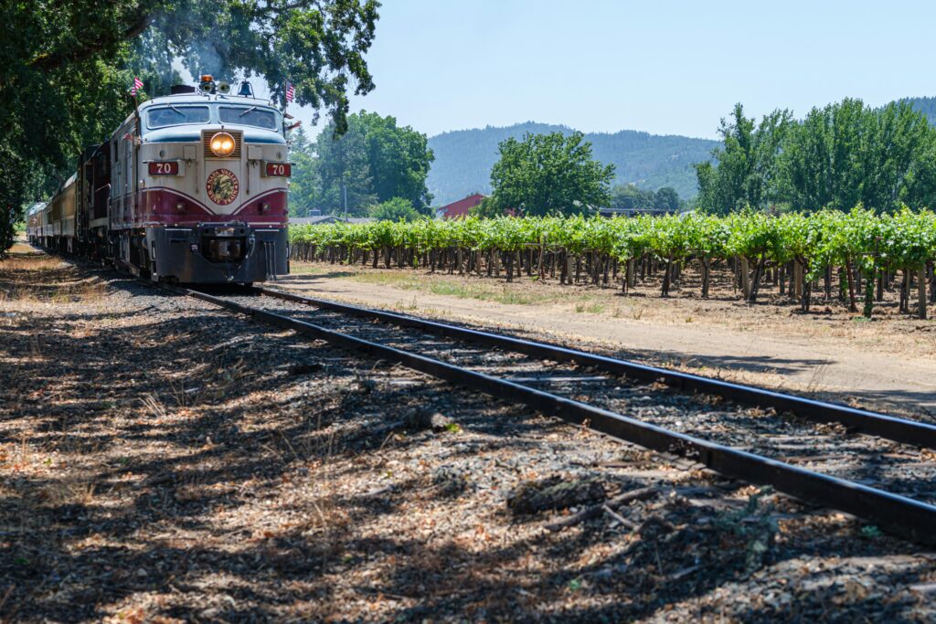 lumin-osity-mjmcJPaxwT8-unsplash-1024x683 Things to Do in San Francisco Between World Cup 2026 Games: Beyond the Bay and Into Northern California